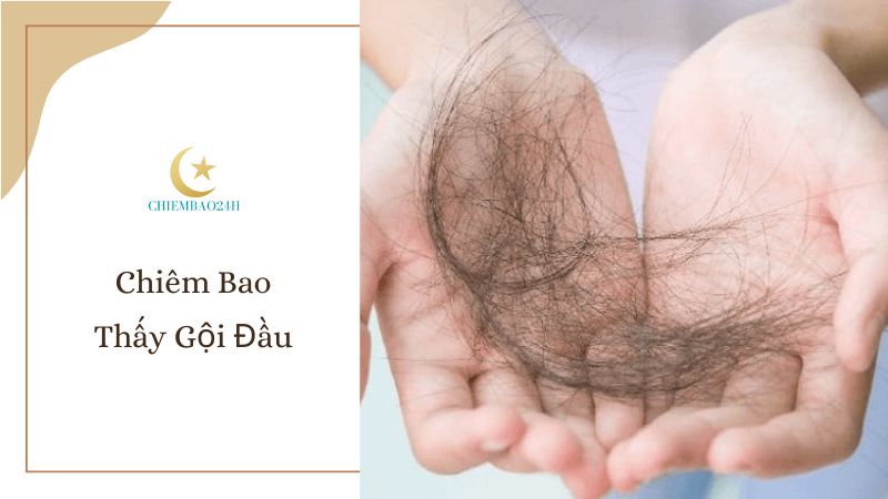 Chiêm bao thấy gội đầu dự báo điều gì?