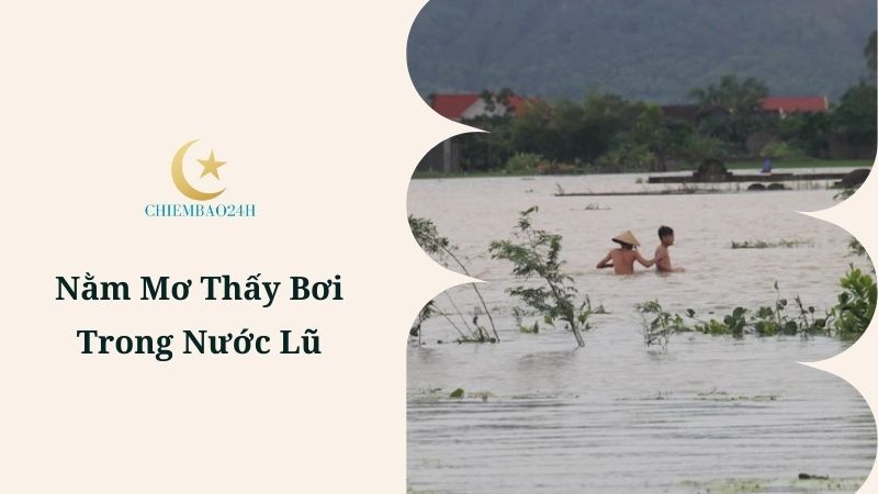 Nằm mơ thấy bơi trong nước lũ