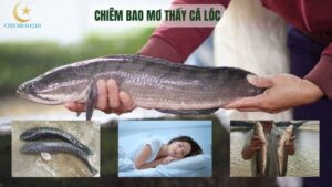 chiêm bao thấy cá lóc