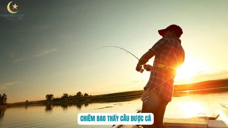 Ẩn ý trong giấc chiêm bao thấy câu được cá