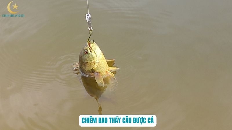 Giải mã những giấc chiêm bao thấy câu được cá