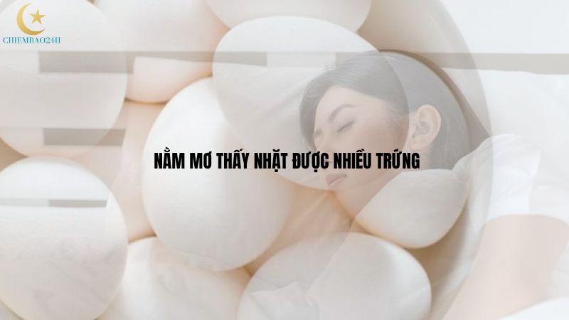 nằm mơ thấy nhặt được nhiều trứng vịt