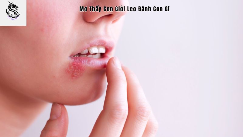 Giải mã giấc mơ thấy con giời leo